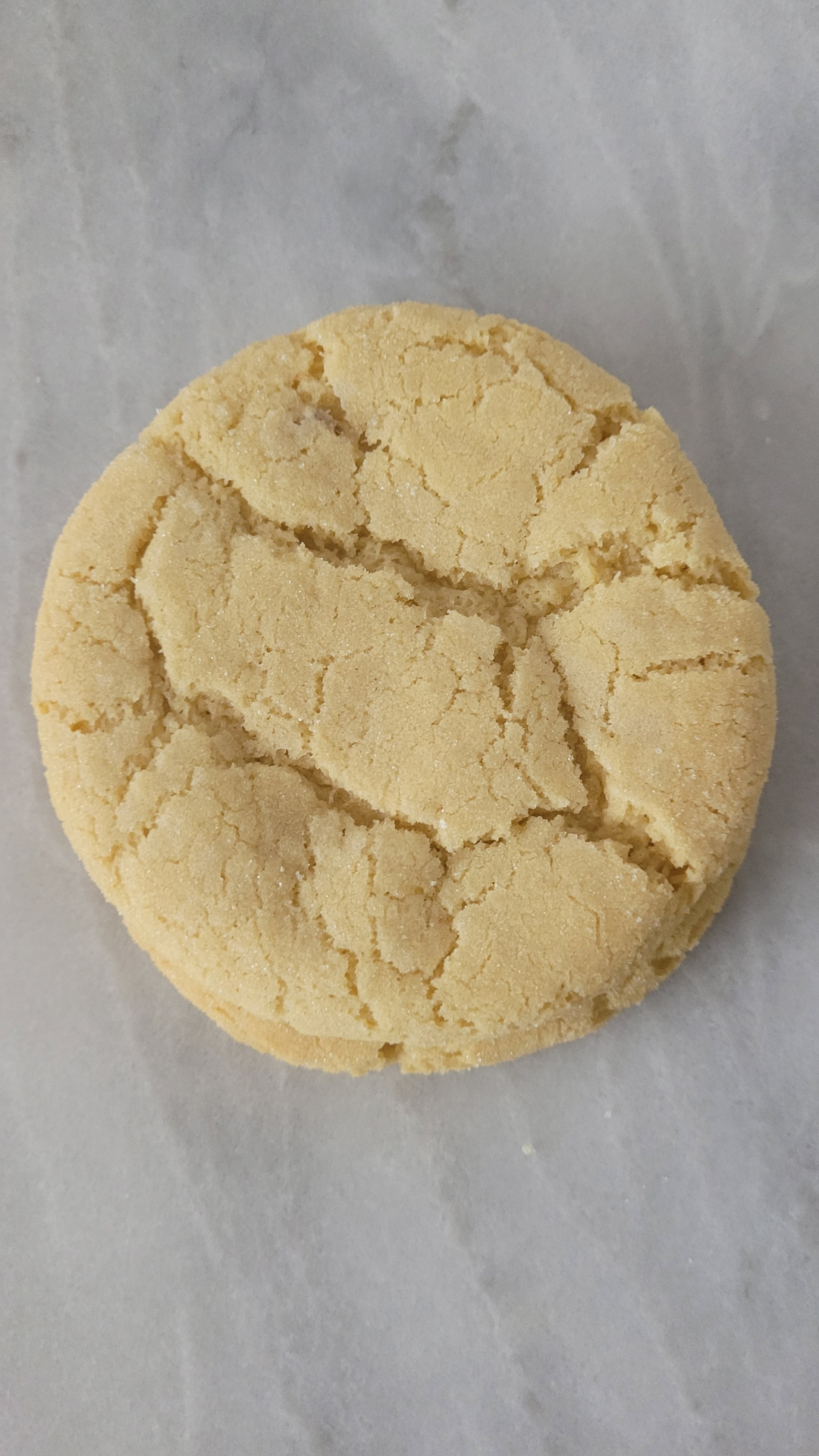 Lemon Sugar Cookie